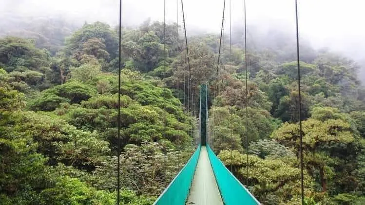 Qué hacer en Monteverde