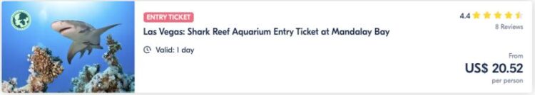 Biglietto D'ingresso Per L'acquario Shark Reef Di Las Vegas Al Mandalay Bay
