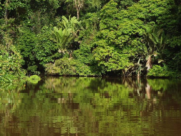 Cómo llegar de San José a Tortuguero1