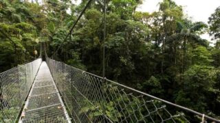 Een hangbrug in La Fortuna, Costa Rica.