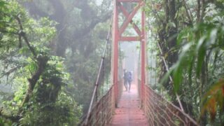 Hoe kom je van Liberia naar Monteverde, Costa Rica?