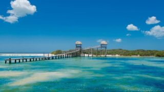 Hoe kom je van Playa del Carmen naar Holbox, Mexico?