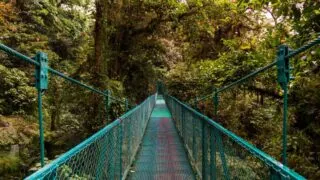 Hoe kom je van Tamarindo naar Monteverde, Costa Rica?