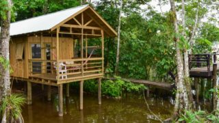 Flores naar Rio Dulce