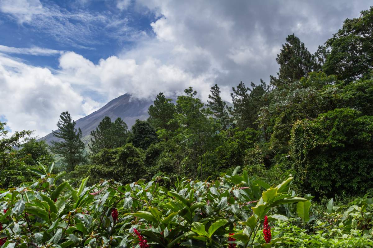 Parc National Du Volcan Arenal Costa Rica