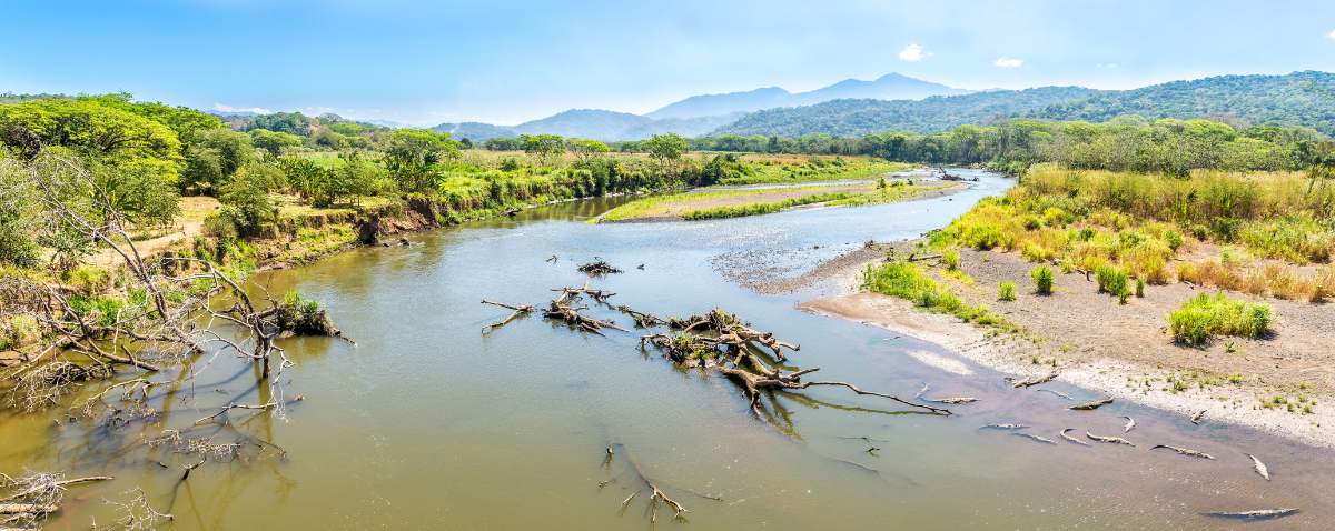 Krokodilfluss Costa Rica